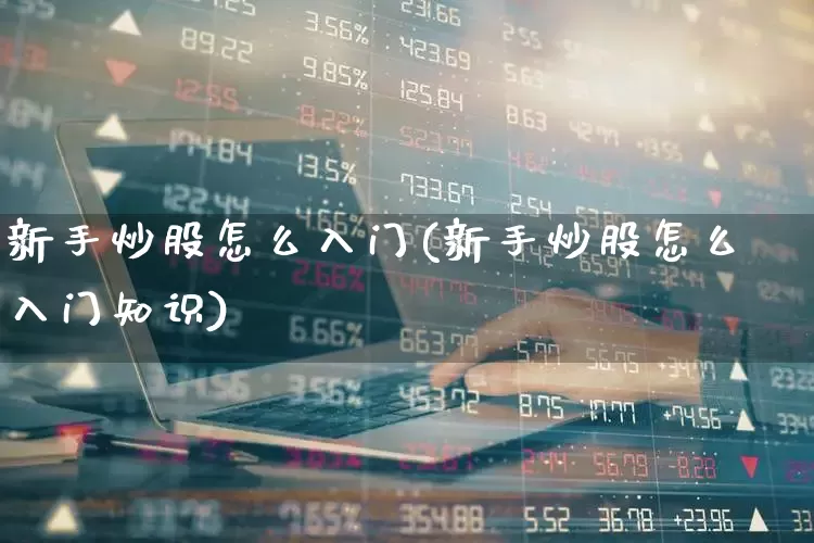 新手炒股怎么入门(新手炒股怎么入门知识)_https://www.gfdzclz.com_创业板_第1张