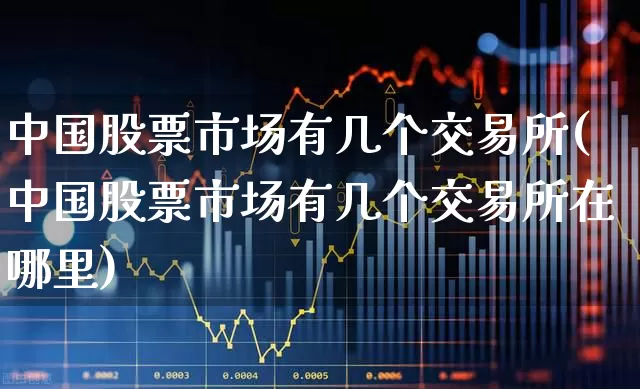 中国股票市场有几个交易所(中国股票市场有几个交易所在哪里)_https://www.gfdzclz.com_上交所_第1张