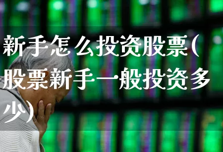新手怎么投资股票(股票新手一般投资多少)_https://www.gfdzclz.com_创业板_第1张