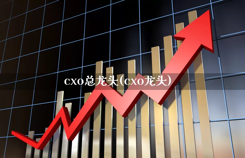 cxo总龙头(cxo龙头)_https://www.gfdzclz.com_上交所_第1张