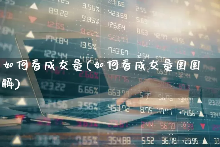 如何看成交量(如何看成交量图图解)_https://www.gfdzclz.com_深交所_第1张