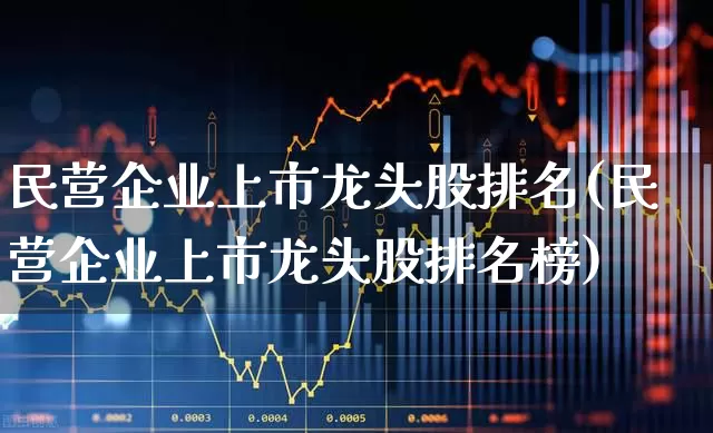 民营企业上市龙头股排名(民营企业上市龙头股排名榜)_https://www.gfdzclz.com_科创板_第1张