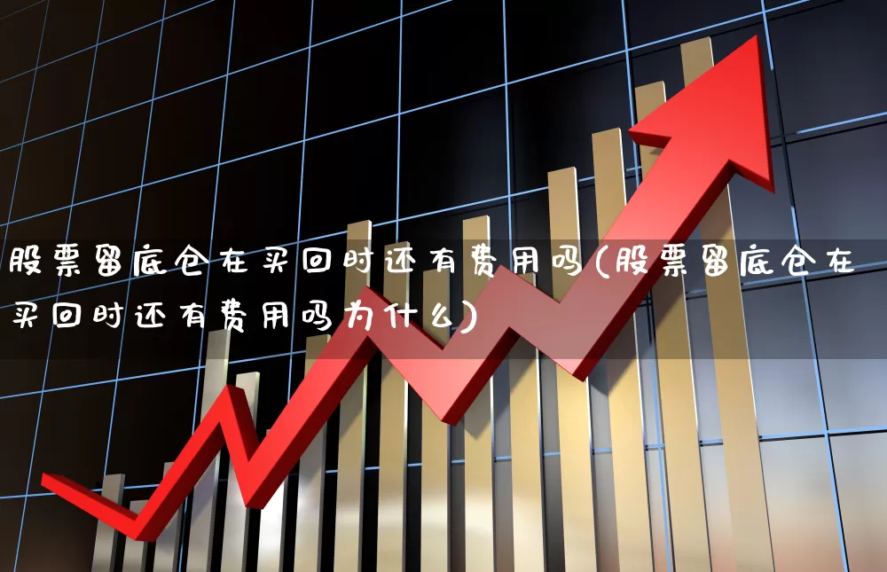 股票留底仓在买回时还有费用吗(股票留底仓在买回时还有费用吗为什么)_https://www.gfdzclz.com_创业板_第1张