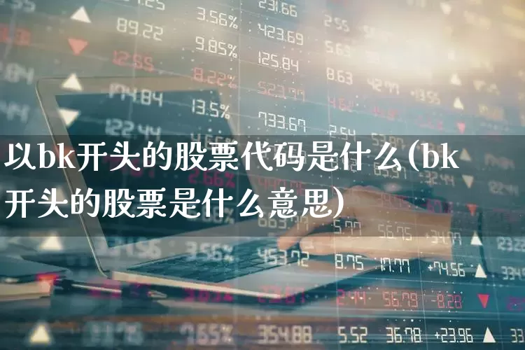以bk开头的股票代码是什么(bk开头的股票是什么意思)_https://www.gfdzclz.com_创业板_第1张