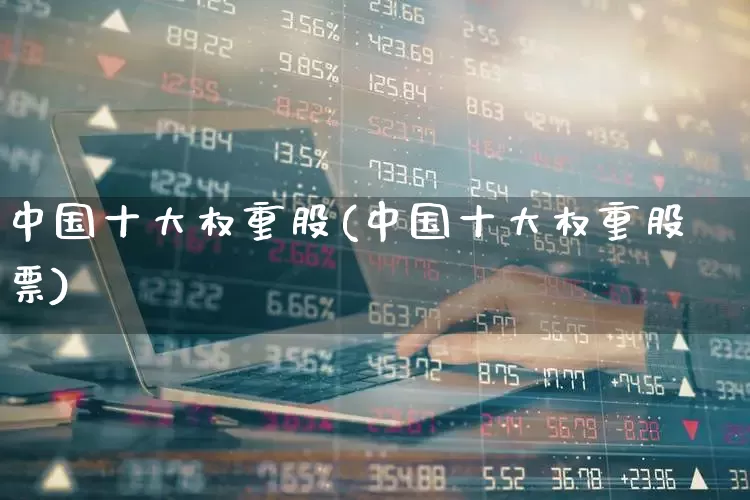 中国十大权重股(中国十大权重股票)_https://www.gfdzclz.com_科创板_第1张
