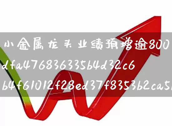 小金属龙头业绩预增逾800%(小金属龙头业绩预增逾800亿)_https://www.gfdzclz.com_科创板_第1张