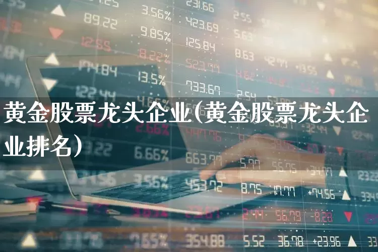黄金股票龙头企业(黄金股票龙头企业排名)_https://www.gfdzclz.com_深交所_第1张