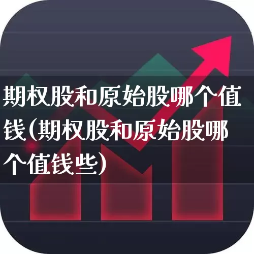 期权股和原始股哪个值钱(期权股和原始股哪个值钱些)_https://www.gfdzclz.com_科创板_第1张