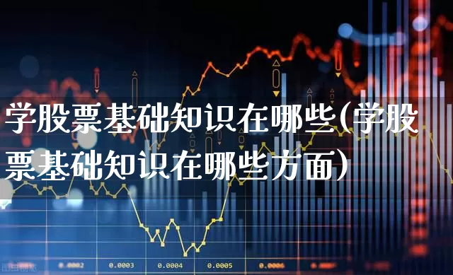 学股票基础知识在哪些(学股票基础知识在哪些方面)_https://www.gfdzclz.com_创业板_第1张