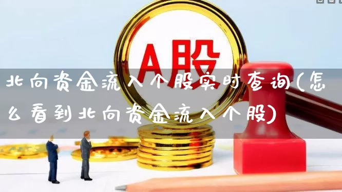 北向资金流入个股实时查询(怎么看到北向资金流入个股)_https://www.gfdzclz.com_创业板_第1张