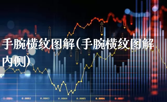 手腕横纹图解(手腕横纹图解内侧)_https://www.gfdzclz.com_北交所_第1张
