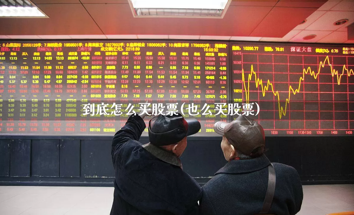 到底怎么买股票(也么买股票)_https://www.gfdzclz.com_创业板_第1张