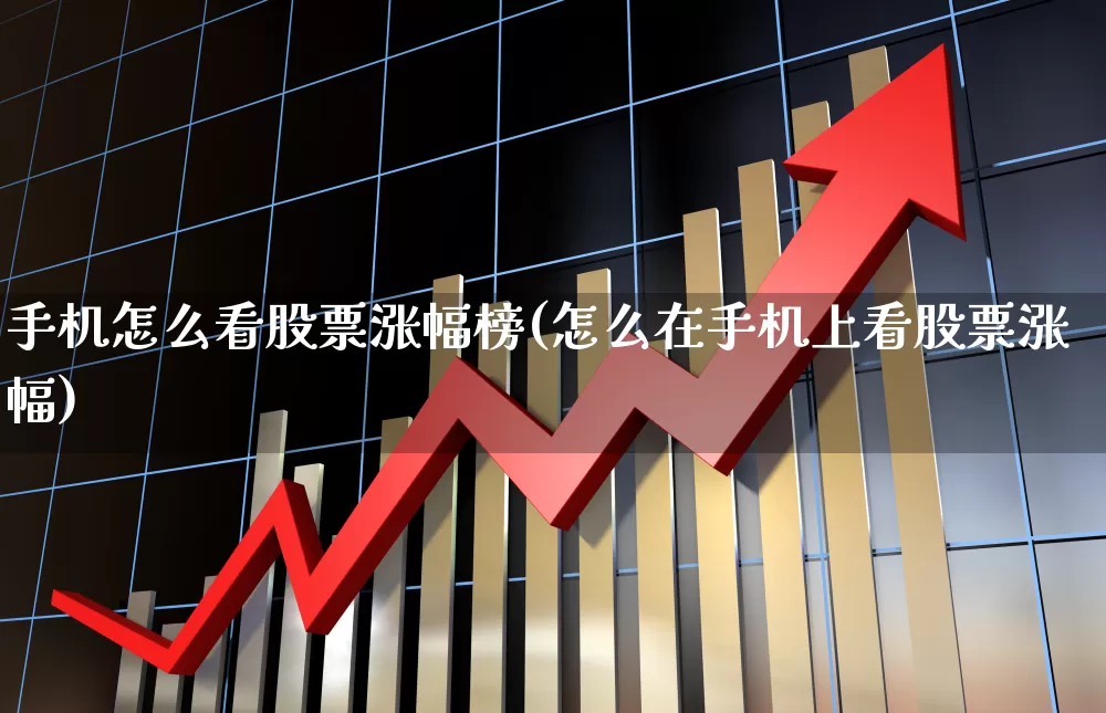 手机怎么看股票涨幅榜(怎么在手机上看股票涨幅)_https://www.gfdzclz.com_创业板_第1张