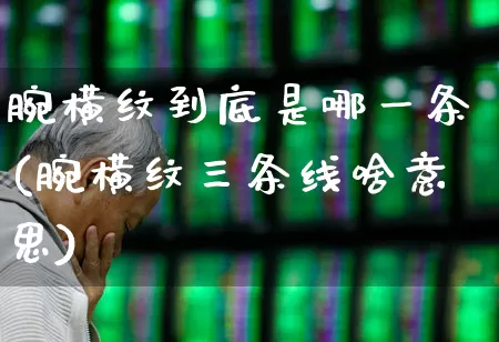 腕横纹到底是哪一条(腕横纹三条线啥意思)_https://www.gfdzclz.com_创业板_第1张