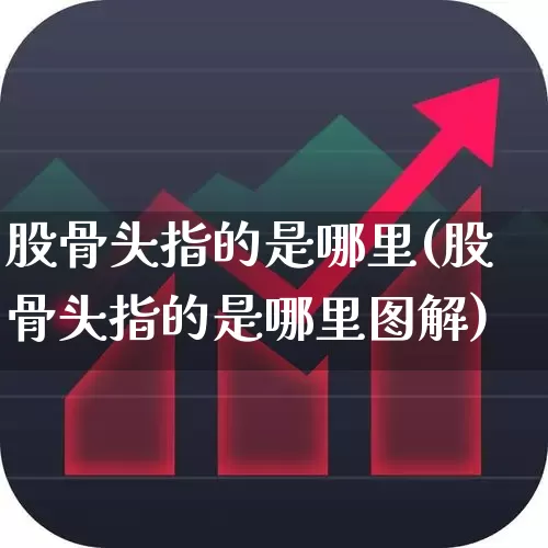股骨头指的是哪里(股骨头指的是哪里图解)_https://www.gfdzclz.com_北交所_第1张