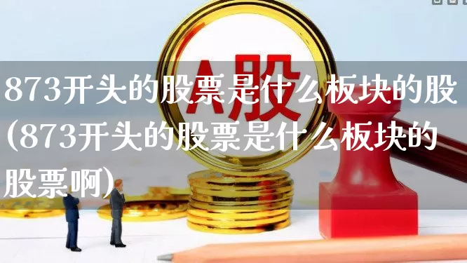 873开头的股票是什么板块的股(873开头的股票是什么板块的股票啊)_https://www.gfdzclz.com_深交所_第1张