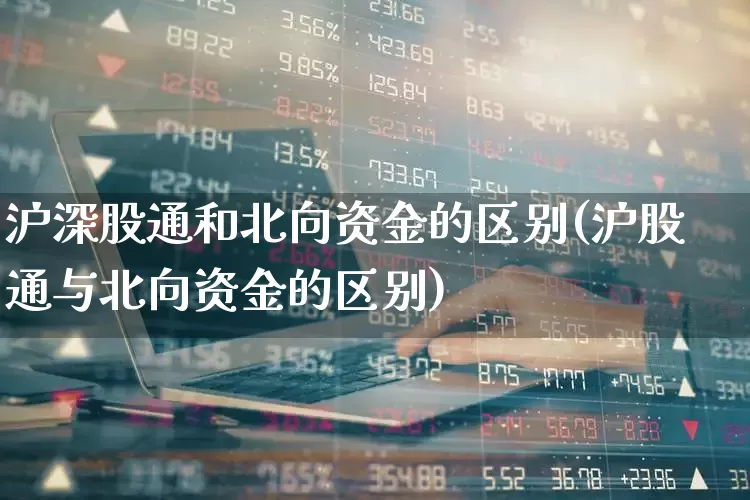 沪深股通和北向资金的区别(沪股通与北向资金的区别)_https://www.gfdzclz.com_科创板_第1张