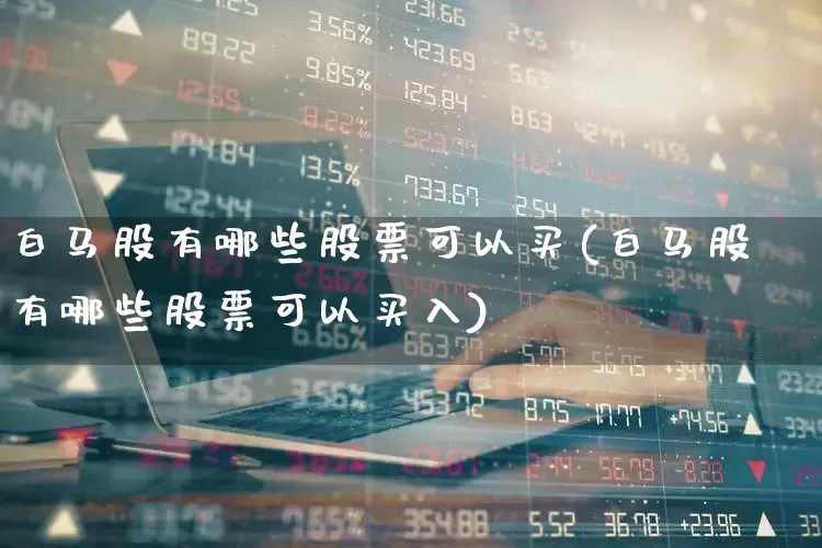 白马股有哪些股票可以买(白马股有哪些股票可以买入)_https://www.gfdzclz.com_上交所_第1张