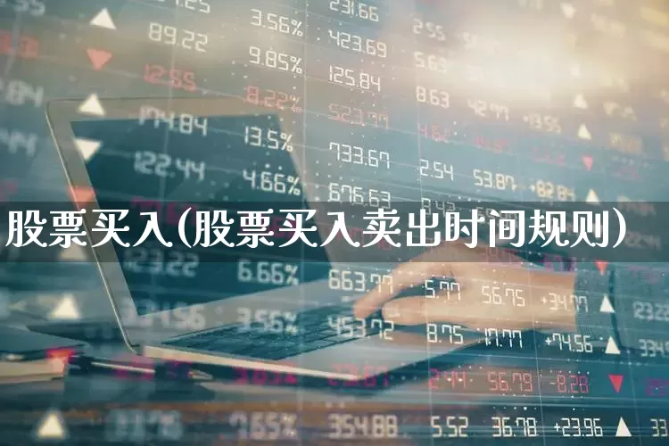 股票买入(股票买入卖出时间规则)_https://www.gfdzclz.com_深交所_第1张