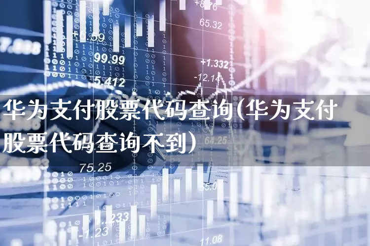 华为支付股票代码查询(华为支付股票代码查询不到)_https://www.gfdzclz.com_深交所_第1张