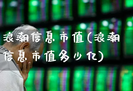 浪潮信息市值(浪潮信息市值多少亿)_https://www.gfdzclz.com_创业板_第1张