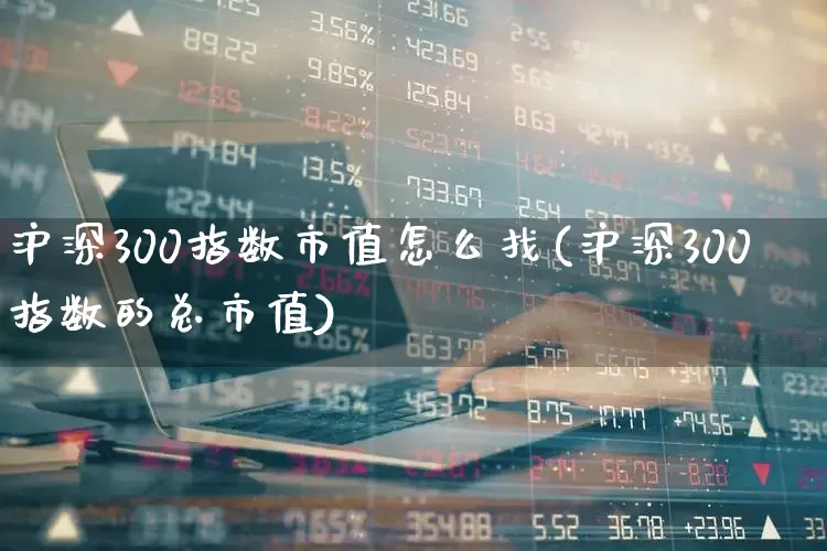 沪深300指数市值怎么找(沪深300指数的总市值)_https://www.gfdzclz.com_创业板_第1张
