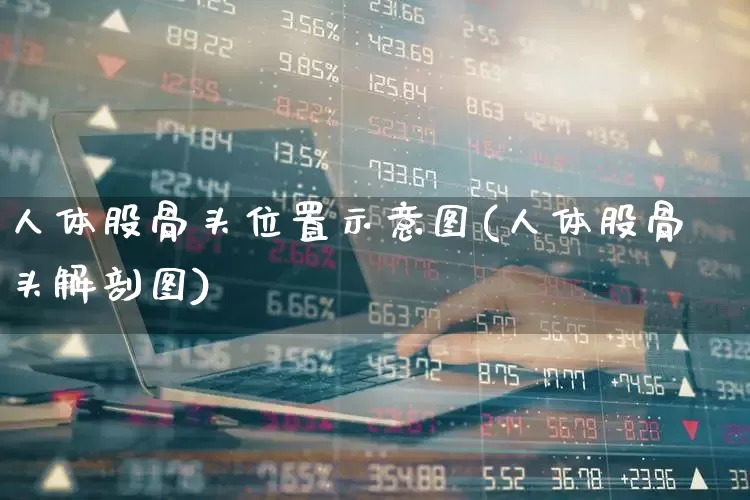 人体股骨头位置示意图(人体股骨头解剖图)_https://www.gfdzclz.com_上交所_第1张