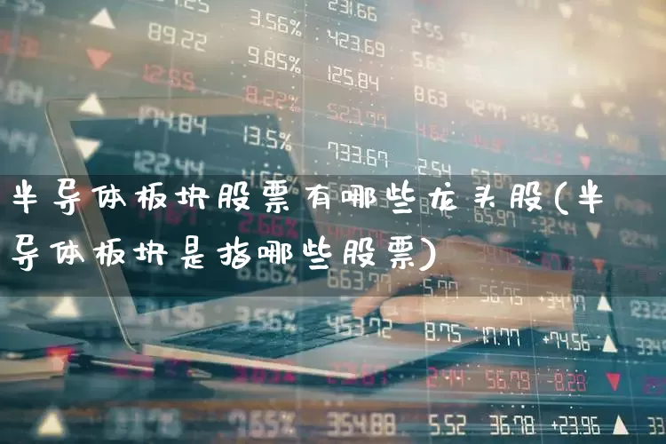 半导体板块股票有哪些龙头股(半导体板块是指哪些股票)_https://www.gfdzclz.com_北交所_第1张