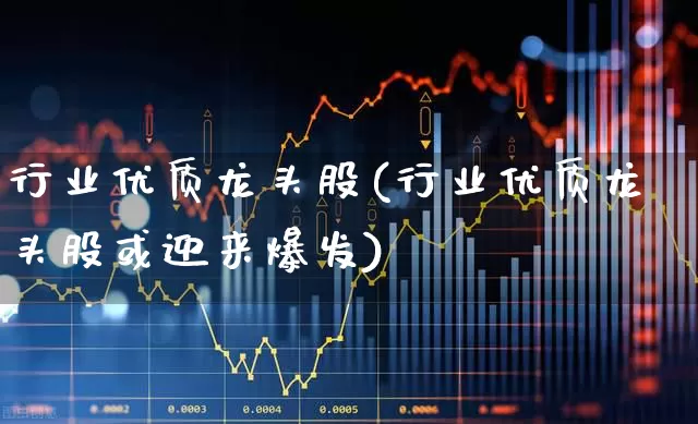 行业优质龙头股(行业优质龙头股或迎来爆发)_https://www.gfdzclz.com_北交所_第1张