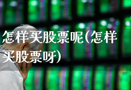 怎样买股票呢(怎样买股票呀)_https://www.gfdzclz.com_深交所_第1张