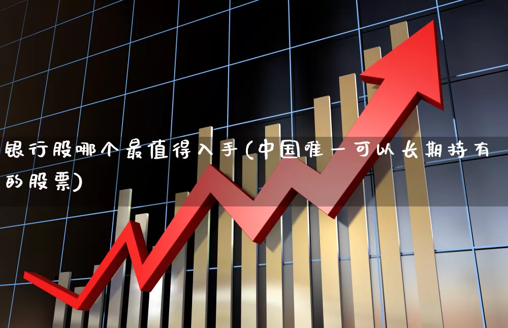 银行股哪个最值得入手(中国唯一可以长期持有的股票)_https://www.gfdzclz.com_深交所_第1张