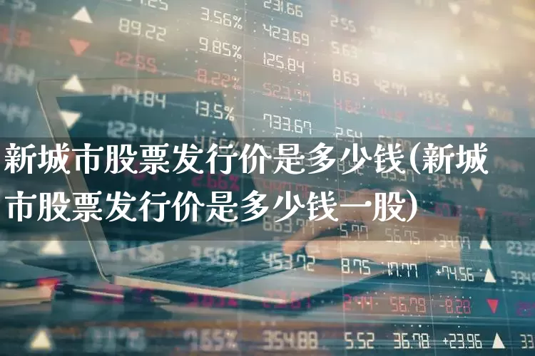 新城市股票发行价是多少钱(新城市股票发行价是多少钱一股)_https://www.gfdzclz.com_深交所_第1张