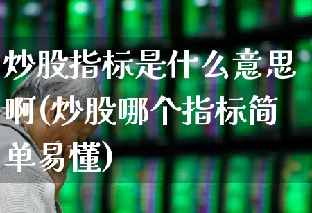 炒股指标是什么意思啊(炒股哪个指标简单易懂)_https://www.gfdzclz.com_深交所_第1张