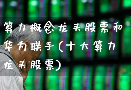 算力概念龙头股票和华为联手(十大算力龙头股票)_https://www.gfdzclz.com_上交所_第1张