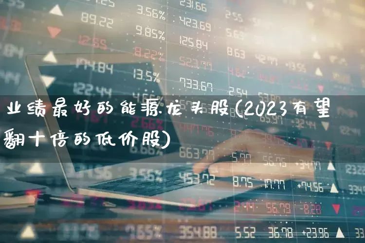 业绩最好的能源龙头股(2023有望翻十倍的低价股)_https://www.gfdzclz.com_科创板_第1张