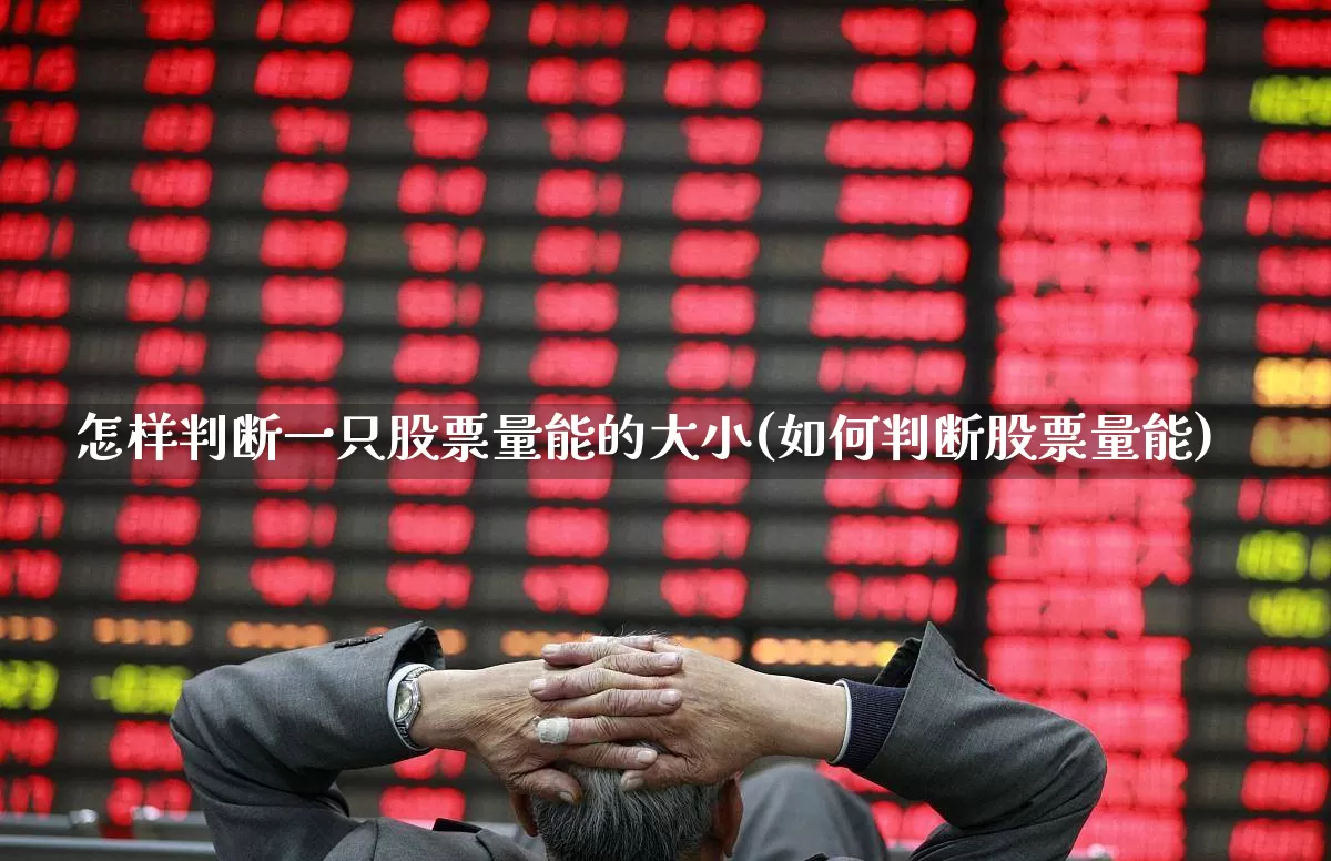 怎样判断一只股票量能的大小(如何判断股票量能)_https://www.gfdzclz.com_上交所_第1张