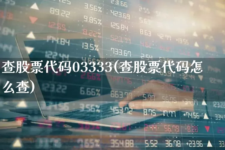 查股票代码03333(查股票代码怎么查)_https://www.gfdzclz.com_创业板_第1张