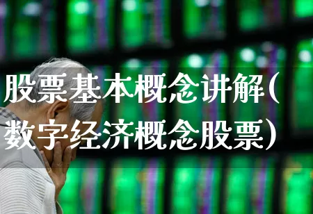 股票基本概念讲解(数字经济概念股票)_https://www.gfdzclz.com_科创板_第1张