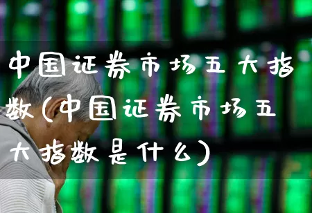 中国证券市场五大指数(中国证券市场五大指数是什么)_https://www.gfdzclz.com_科创板_第1张