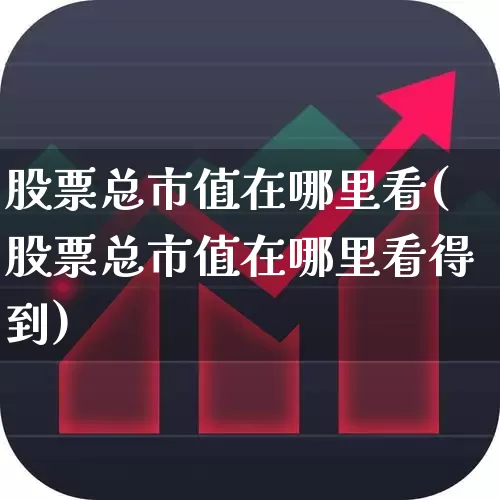 股票总市值在哪里看(股票总市值在哪里看得到)_https://www.gfdzclz.com_科创板_第1张