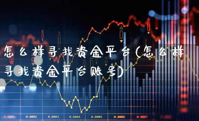 怎么样寻找资金平台(怎么样寻找资金平台账号)_https://www.gfdzclz.com_上交所_第1张
