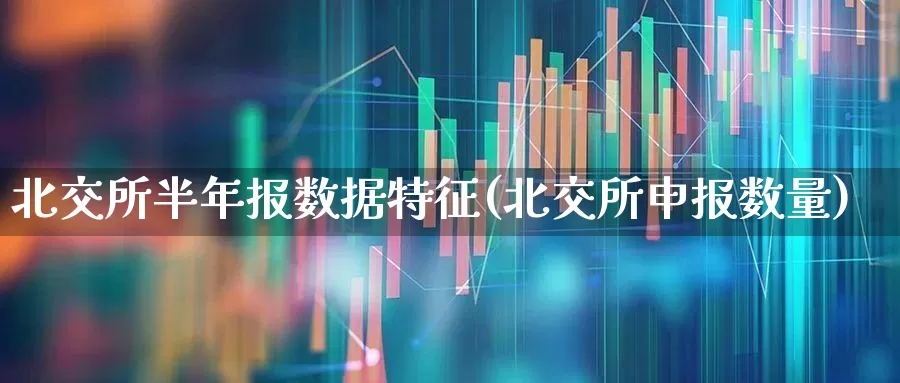 北交所半年报数据特征(北交所申报数量)_https://www.gfdzclz.com_深交所_第1张