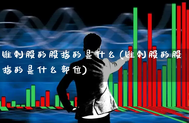 锥刺股的股指的是什么(锥刺股的股指的是什么部位)_https://www.gfdzclz.com_科创板_第1张