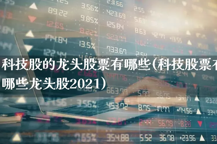科技股的龙头股票有哪些(科技股票有哪些龙头股2021)_https://www.gfdzclz.com_深交所_第1张