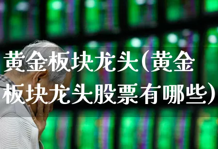 黄金板块龙头(黄金板块龙头股票有哪些)_https://www.gfdzclz.com_上交所_第1张