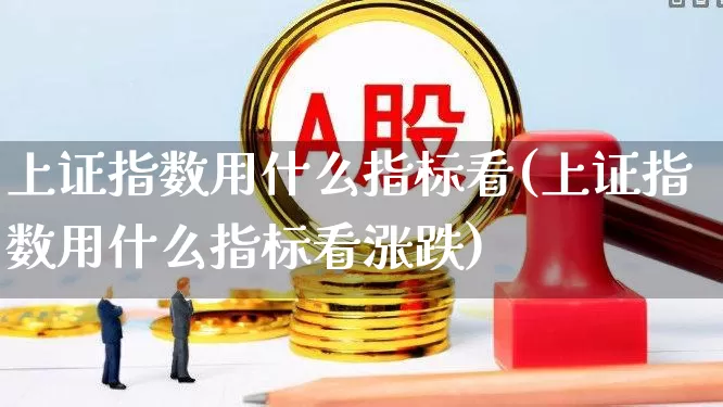 上证指数用什么指标看(上证指数用什么指标看涨跌)_https://www.gfdzclz.com_北交所_第1张