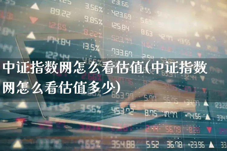 中证指数网怎么看估值(中证指数网怎么看估值多少)_https://www.gfdzclz.com_创业板_第1张