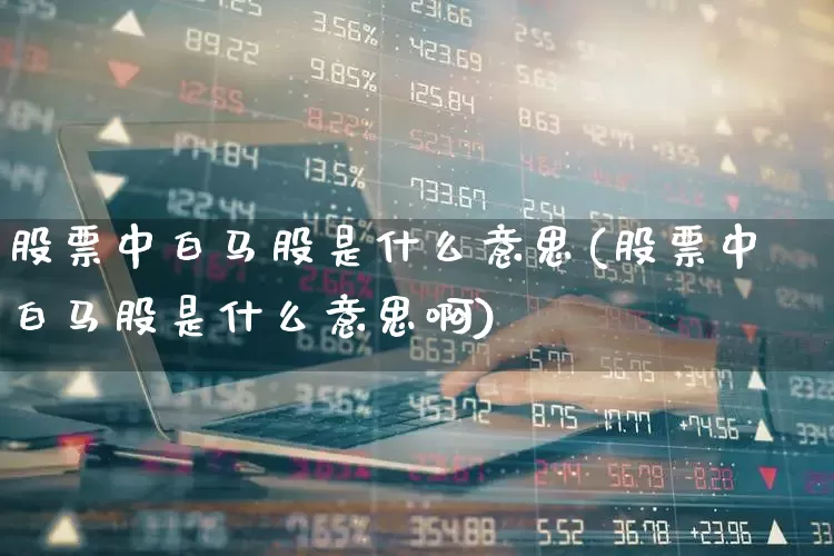 股票中白马股是什么意思(股票中白马股是什么意思啊)_https://www.gfdzclz.com_科创板_第1张
