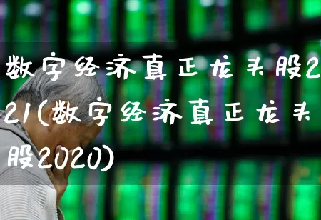 数字经济真正龙头股2021(数字经济真正龙头股2020)_https://www.gfdzclz.com_北交所_第1张