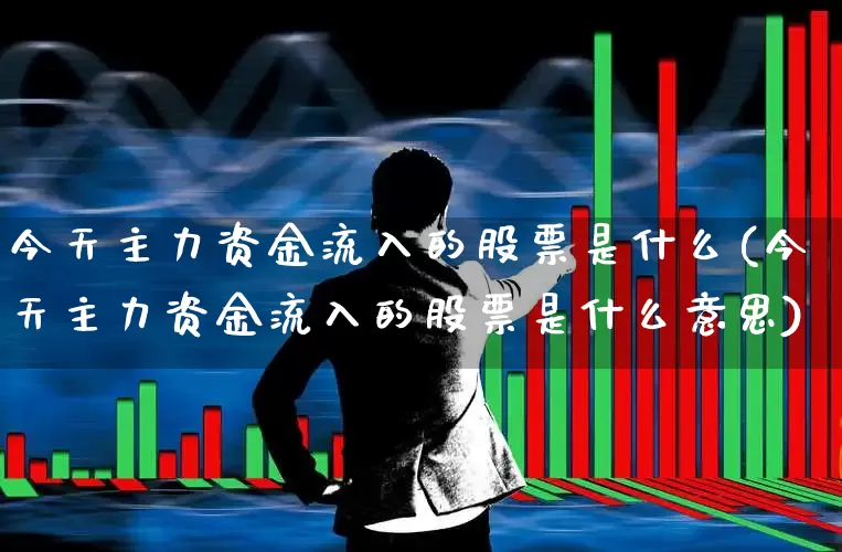 今天主力资金流入的股票是什么(今天主力资金流入的股票是什么意思)_https://www.gfdzclz.com_上交所_第1张